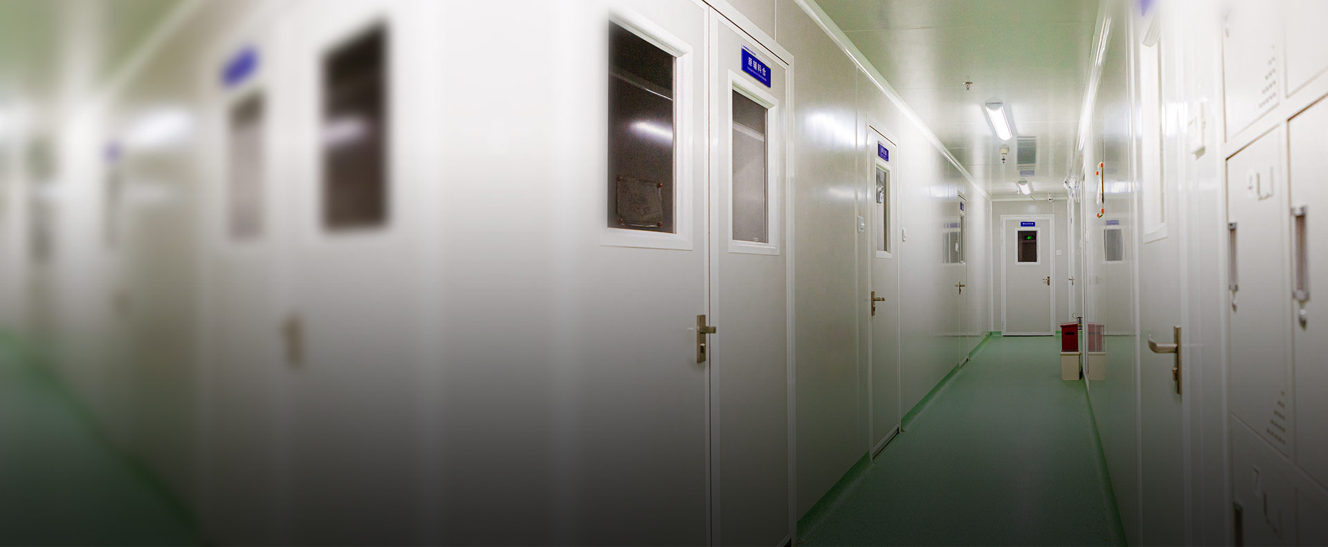 尼羅河生物-品質(zhì)保障 尼羅河生物-品質(zhì)保障