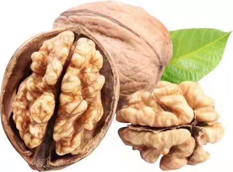 霧化器廠家-霧化知識